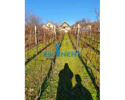 Slankamenački Vinogradi | 4zida.rs