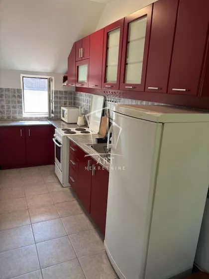 Petra Drapšina | 4zida.rs