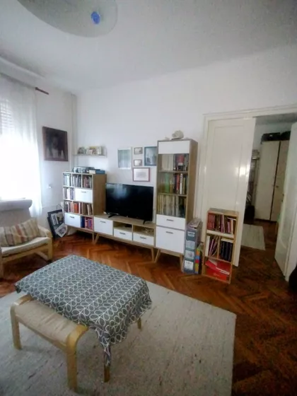 Žarka Vasiljevića | 4zida.rs