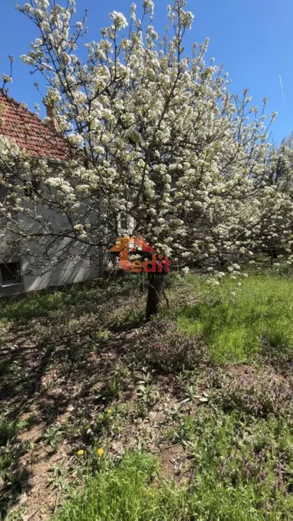 Niška Banja | 4zida.rs