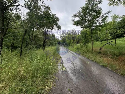 Sremska Kamenica | 4zida.rs