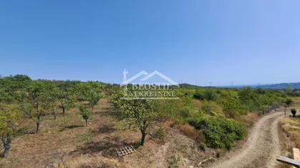 Smederevski put | 4zida.rs