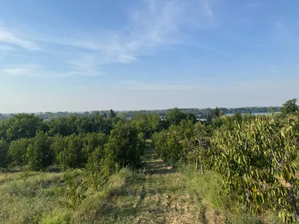 Jugovo Vikend Naselje | 4zida.rs