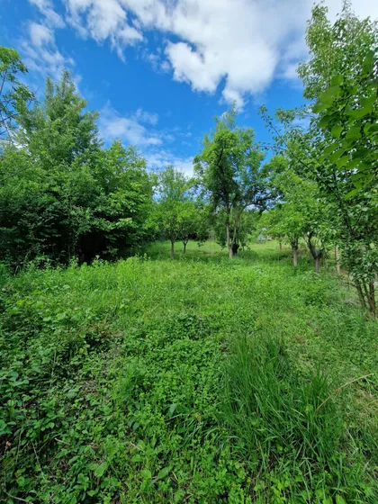 Brane Markovića | 4zida.rs