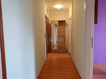 Drinske divizije | 4zida.rs