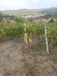 Poljoprivredno zemljište | 4zida