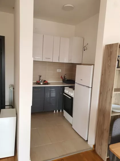 Zrenjaninski Put 45A | 4zida.rs