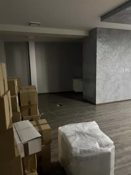 Momčila Popovića | 4zida.rs