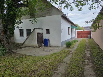 Golubova | 4zida.rs