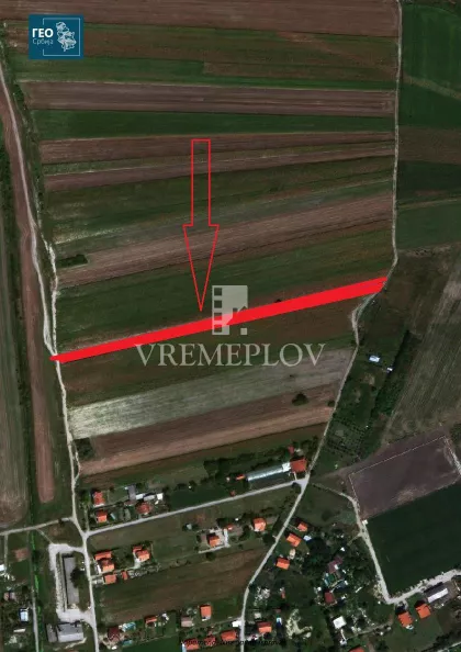Ovča | 4zida.rs