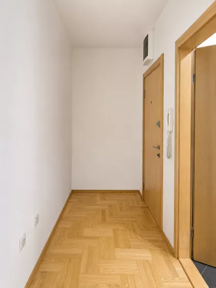 Teodora Pavlovića | 4zida.rs
