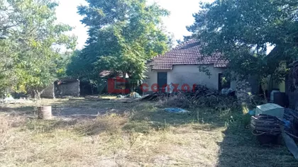 Palić | 4zida.rs