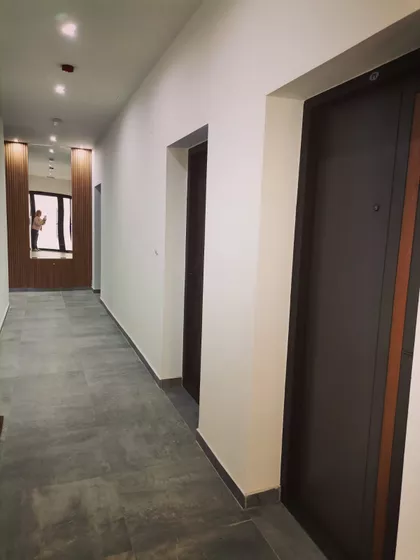 Šajkaška | 4zida.rs
