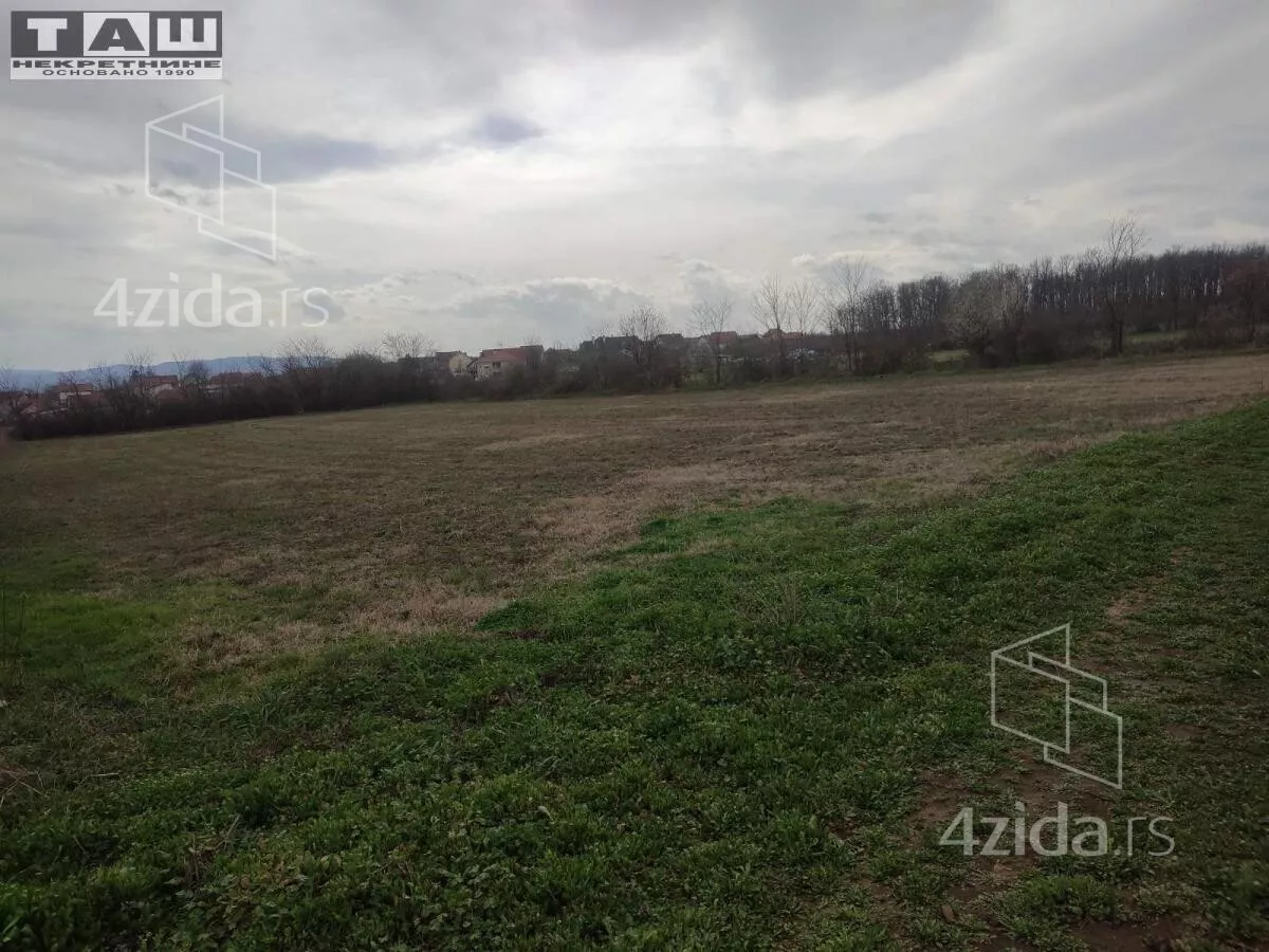 Plac | 4zida
