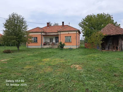 Živka Pavlovića | 4zida.rs
