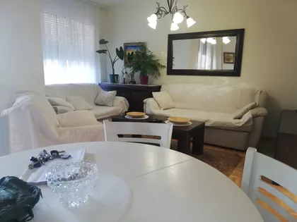 Timočke Divizije | 4zida.rs