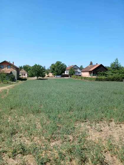 Moše Pijade | 4zida.rs