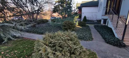 Palić | 4zida.rs