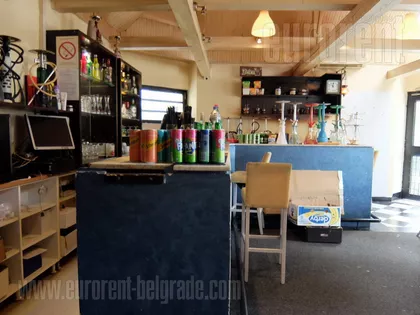 ZELENI VENAC | 4zida.rs