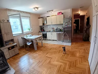 Cara Dušana | 4zida.rs