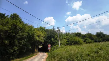 Bogoljuba Petkovića