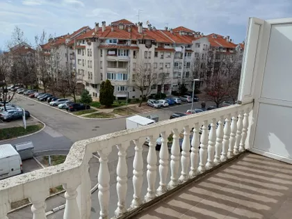 Miloja Zakića | 4zida.rs