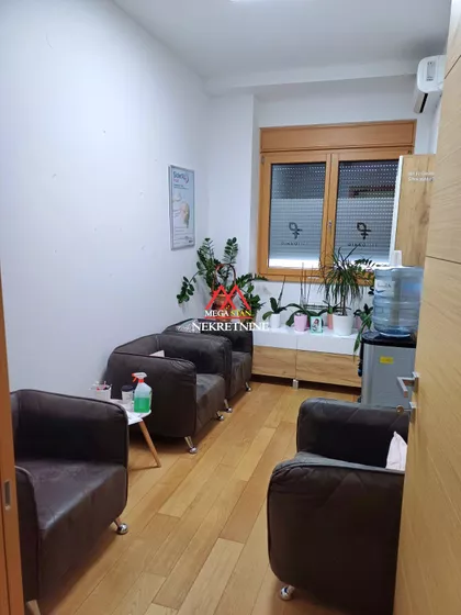 Vase Stajića | 4zida.rs