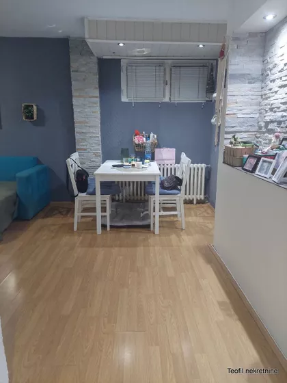 Dr Ivana Ribara | 4zida.rs