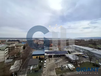 Dragoslava Srejovića | 4zida.rs