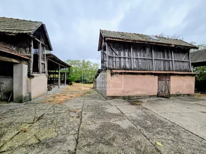 Pačir | 4zida.rs