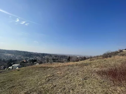 Sremska Kamenica | 4zida.rs