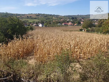 Vrdnik | 4zida.rs