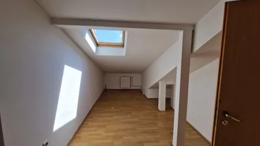 Ljube Didića