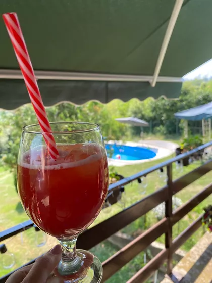 Fruškogorski Put | 4zida.rs