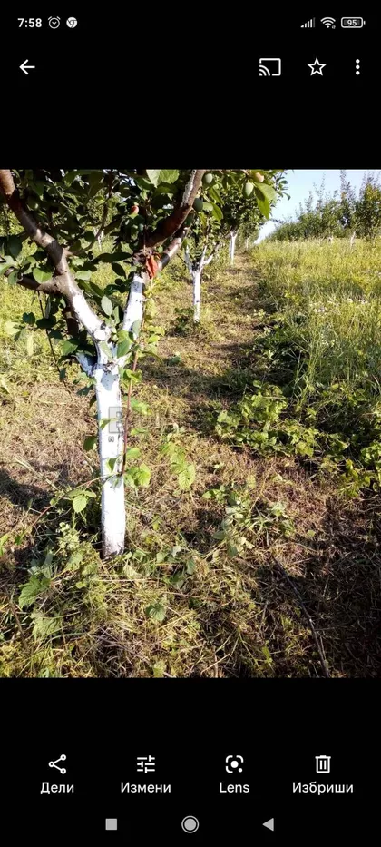 Malo Krčmare | 4zida.rs