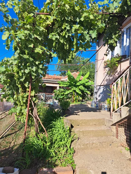 Miloša Terzića 25 | 4zida.rs