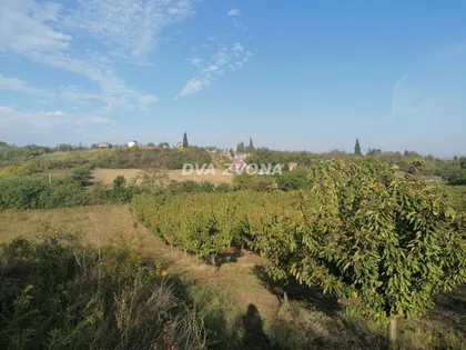 Krčedin | 4zida.rs