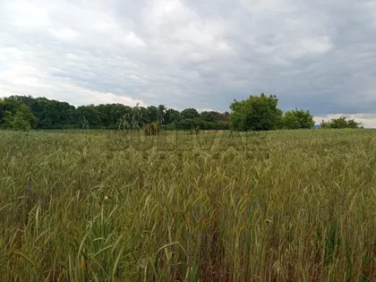 Pere Hansona | 4zida.rs