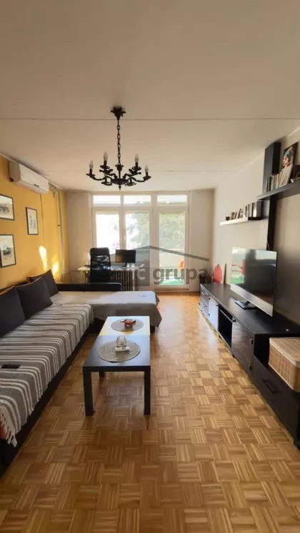 Dr Ivana Ribara | 4zida.rs