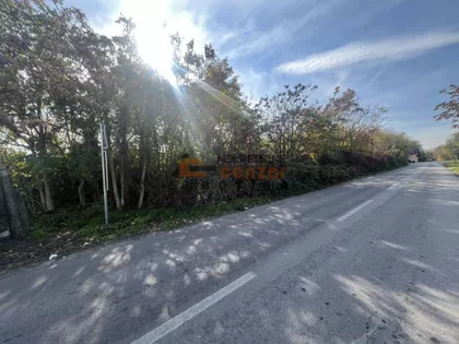 Horgoš | 4zida.rs