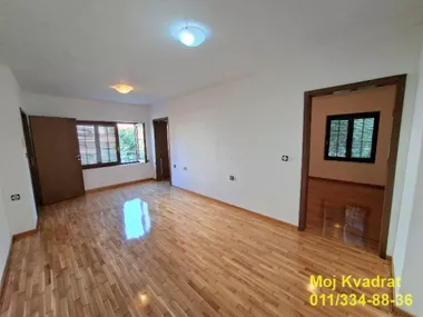Živka Davidovića