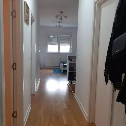 VOJVODE MICKA KRSTICA | 4zida.rs