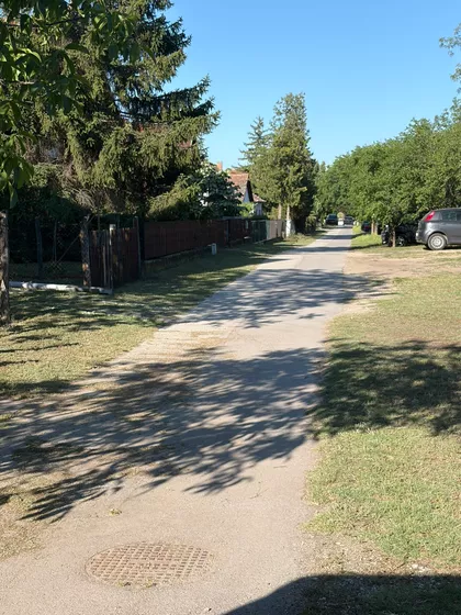 Bele Kuna | 4zida.rs