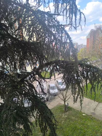 Prote Smiljanića 48F | 4zida.rs