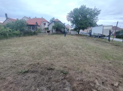 Žarka Zrenjanina | 4zida.rs