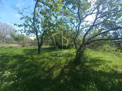 Đurđije Cvetić | 4zida.rs