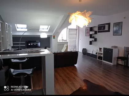 Zivka Davidovica 114 | 4zida.rs