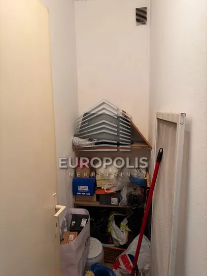 Augusta Šenoe | 4zida.rs