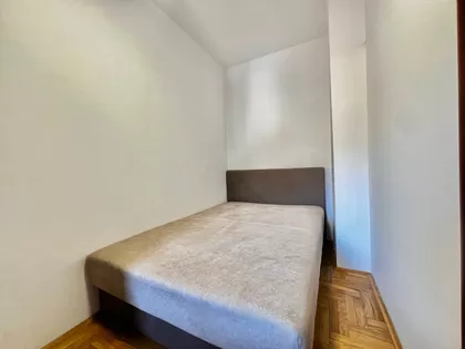 Vojvode Šupljikca | 4zida.rs