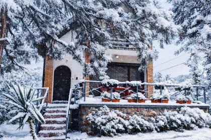 Brestovnik | 4zida.rs